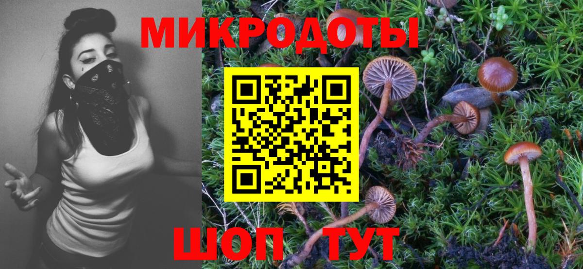 Светлоград  Псилоцибиновые грибы мицелий  Вход с VPN  Галлюциногенные грибы мухоморы 